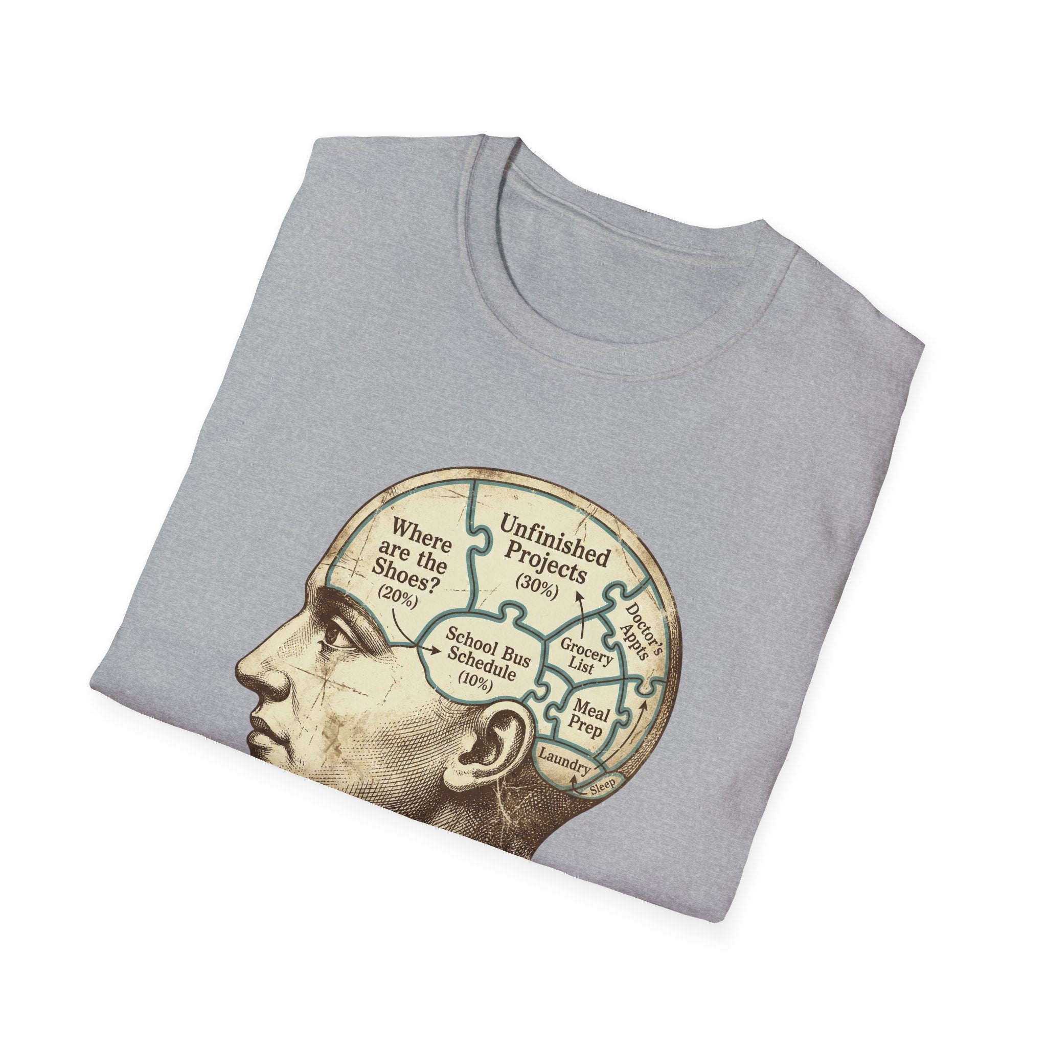 The Anatomy Of Parental Chaos T-Shirt