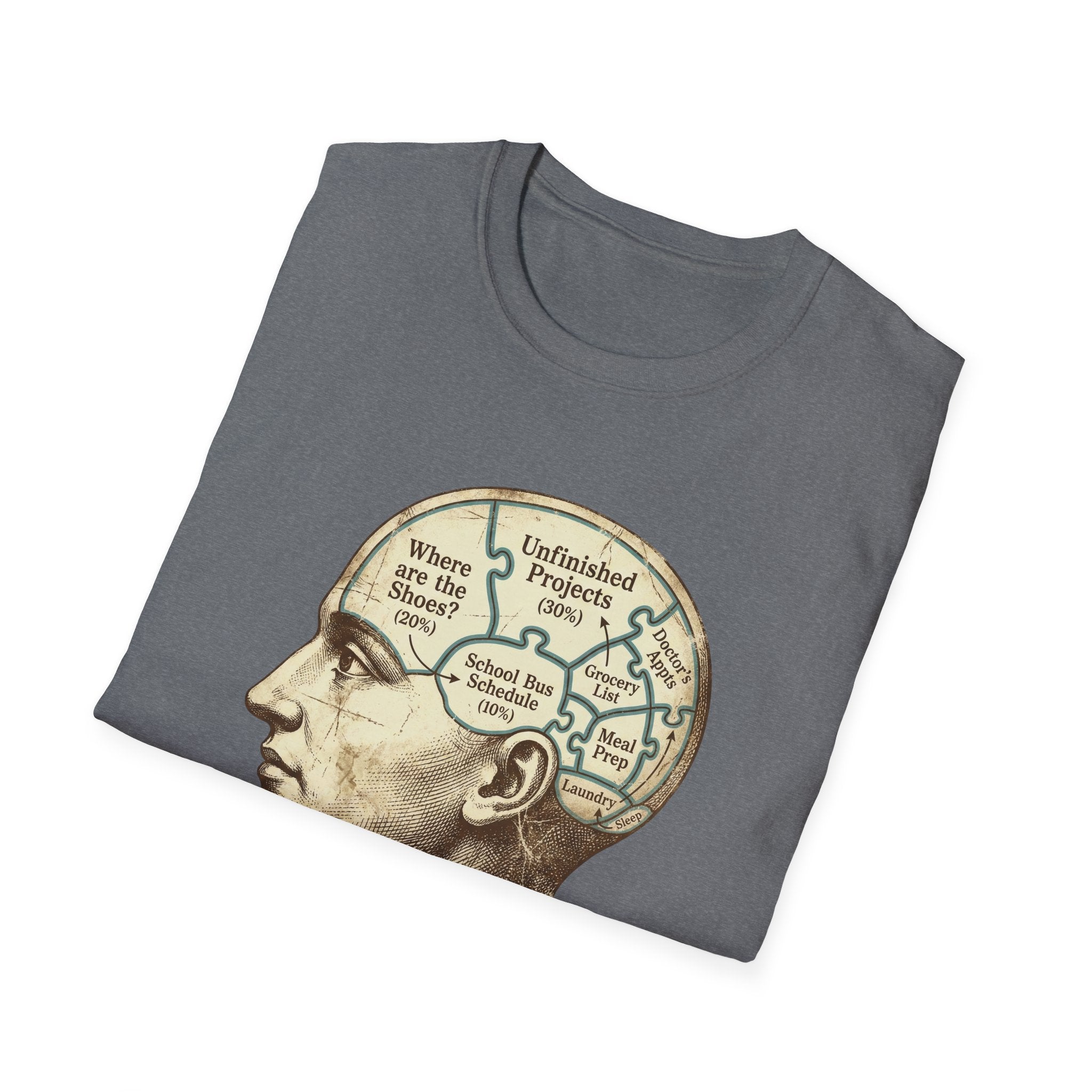 The Anatomy Of Parental Chaos T-Shirt