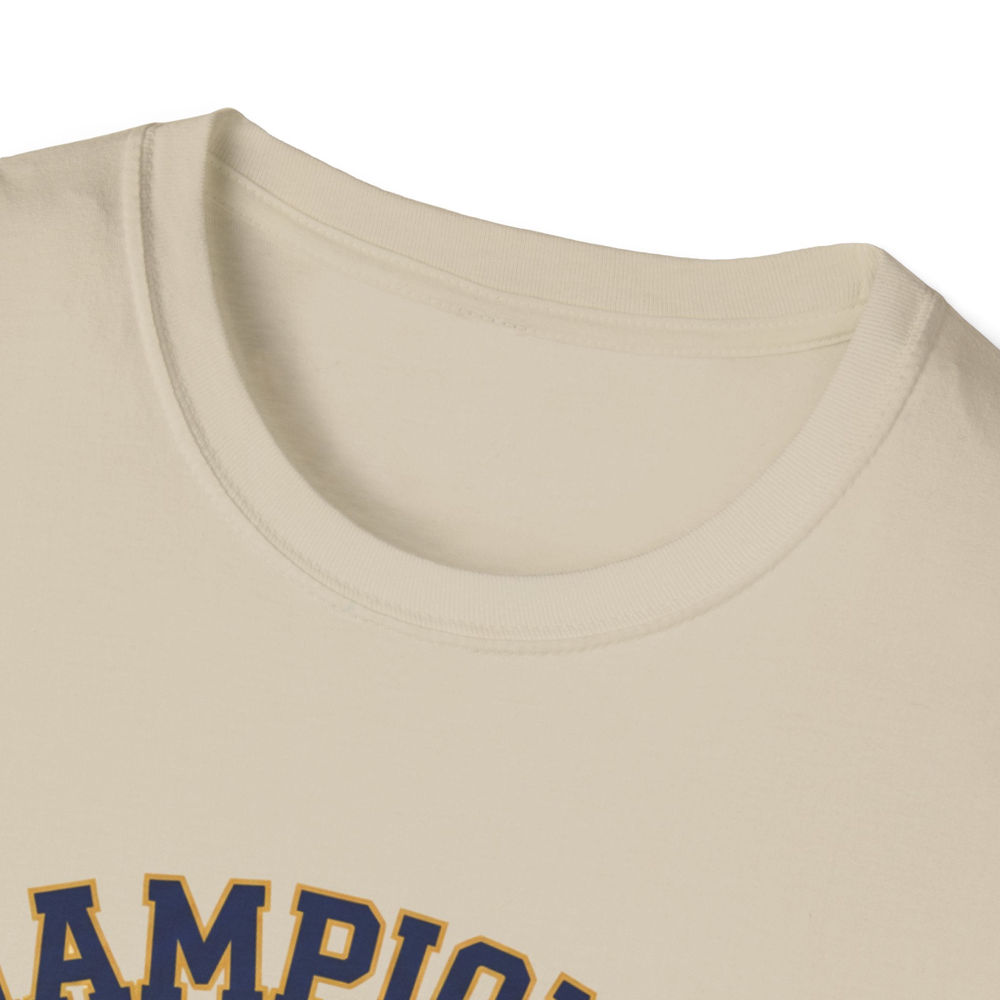 Champion of Unfinished Projects T-Shirt